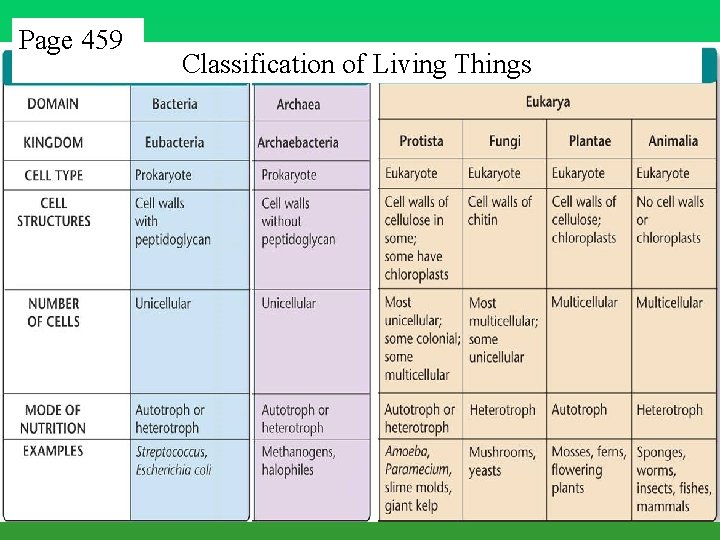 Page 459 Classification of Living Things Page 459 Classification of Living Things