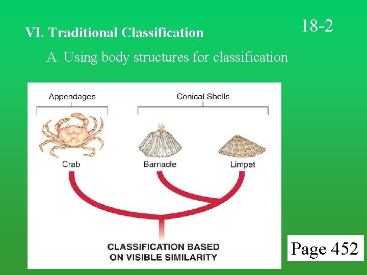 VI. Traditional Classification 18 -2 A. Using body structures for classification Page 452 VI. Traditional Classification 18 -2 A. Using body structures for classification Page 452