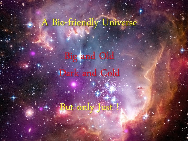 A Bio-friendly Universe Big and Old Dark and Cold But only Just ! 