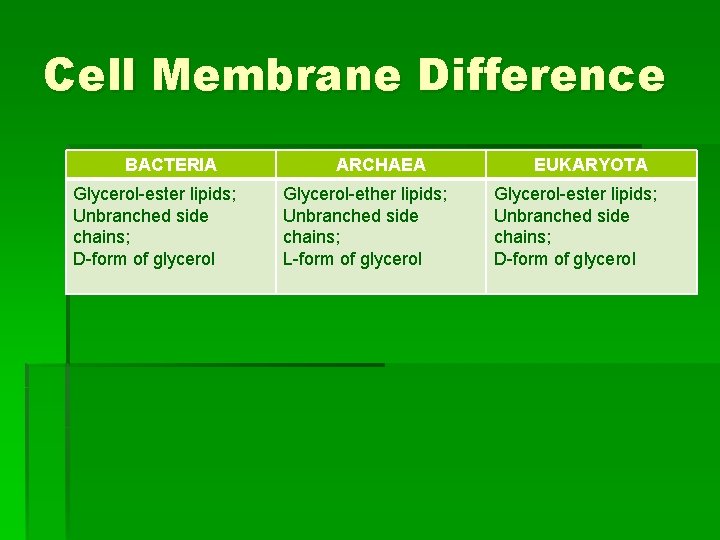 Cell Membrane Difference BACTERIA Glycerol-ester lipids; Unbranched side chains; D-form of glycerol ARCHAEA Glycerol-ether