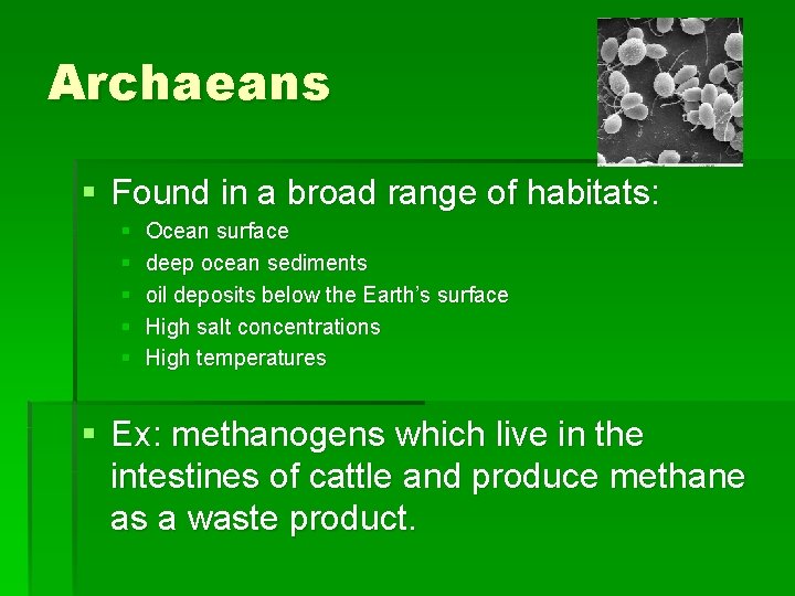 Archaeans § Found in a broad range of habitats: § § § Ocean surface