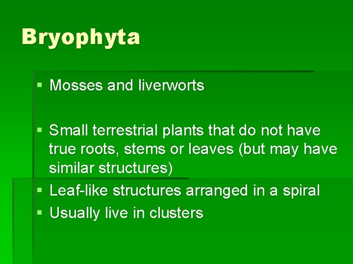 Bryophyta § Mosses and liverworts § Small terrestrial plants that do not have true