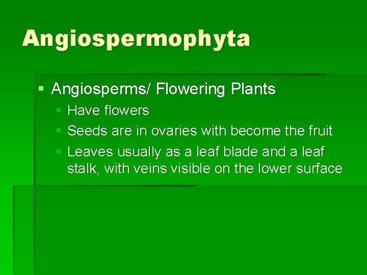 Angiospermophyta § Angiosperms/ Flowering Plants § Have flowers § Seeds are in ovaries with