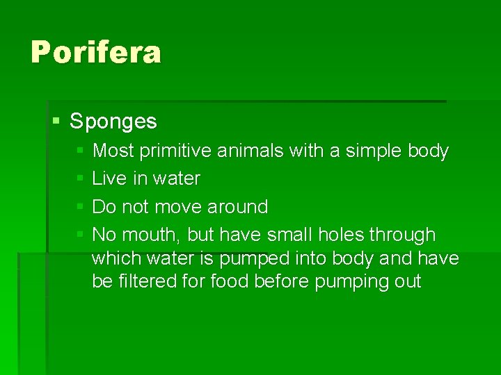 Porifera § Sponges § Most primitive animals with a simple body § Live in