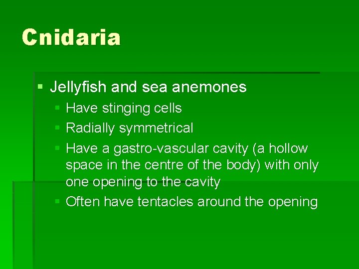 Cnidaria § Jellyfish and sea anemones § Have stinging cells § Radially symmetrical §