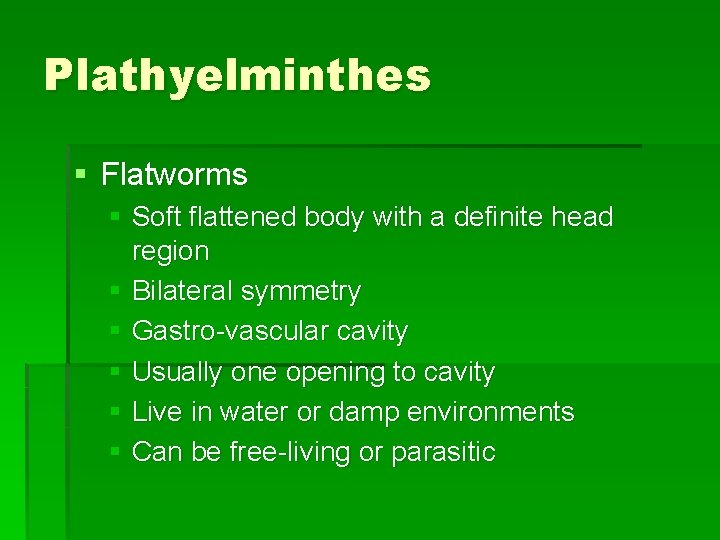 Plathyelminthes § Flatworms § Soft flattened body with a definite head region § Bilateral