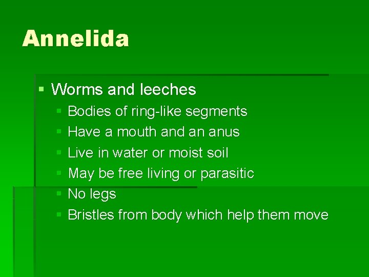 Annelida § Worms and leeches § Bodies of ring-like segments § Have a mouth
