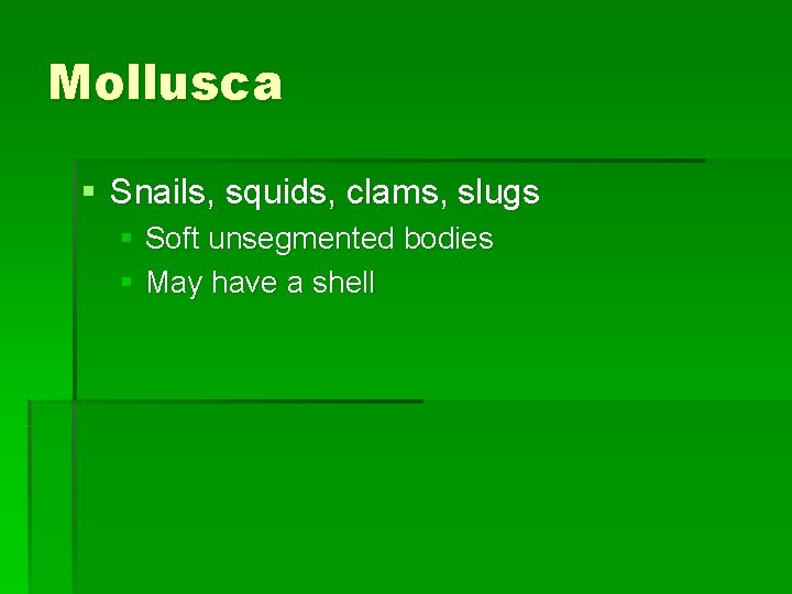 Mollusca § Snails, squids, clams, slugs § Soft unsegmented bodies § May have a