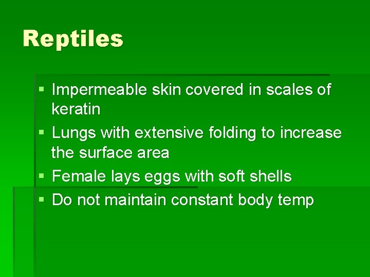 Reptiles § Impermeable skin covered in scales of keratin § Lungs with extensive folding