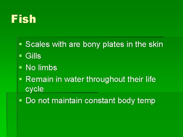 Fish § § Scales with are bony plates in the skin Gills No limbs