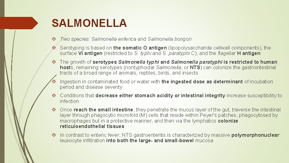 SALMONELLA Two species: Salmonella enterica and Salmonella bongori Serotyping is based on the somatic