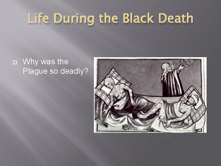 Life During the Black Death Why was the Plague so deadly? 