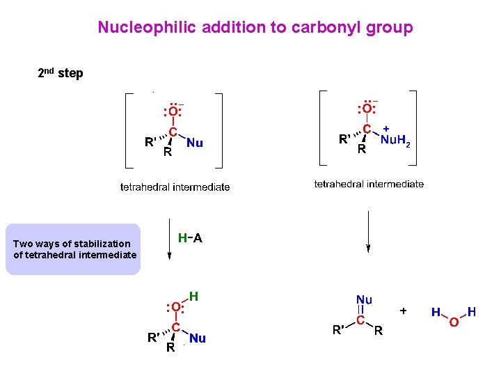 Nucleophilic addition to carbonyl group 2 nd step Two ways of stabilization of tetrahedral