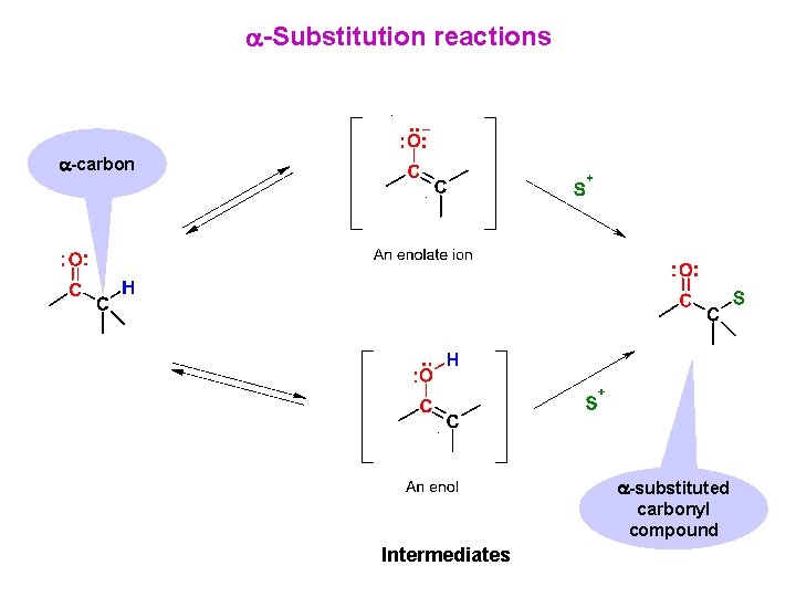  -Substitution reactions -carbon -substituted carbonyl compound Intermediates 