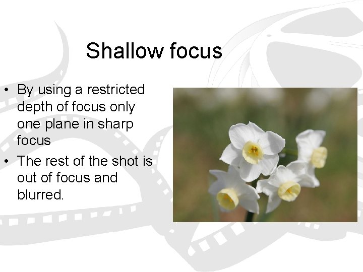 Shallow focus • By using a restricted depth of focus only one plane in