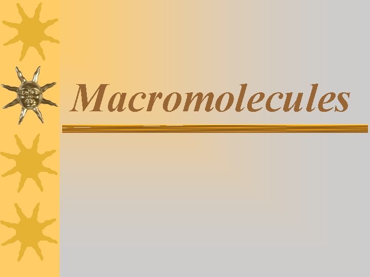 Macromolecules 