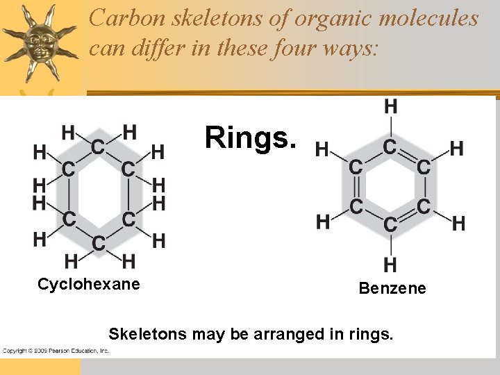 Carbon skeletons of organic molecules can differ in these four ways: Rings. Cyclohexane Benzene