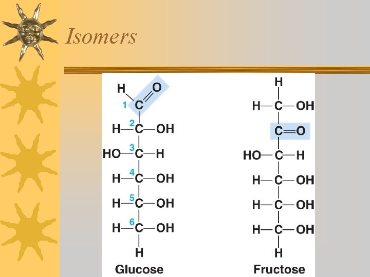 Isomers 