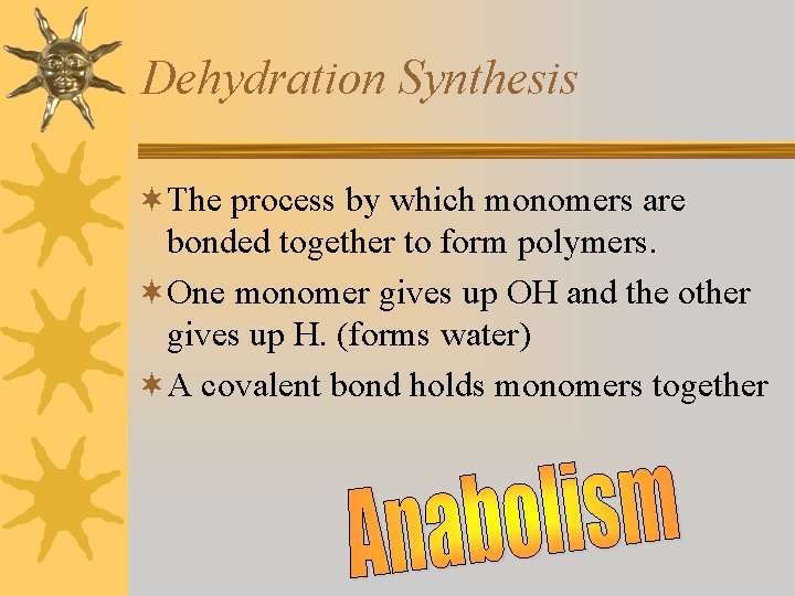 Dehydration Synthesis ¬The process by which monomers are bonded together to form polymers. ¬One