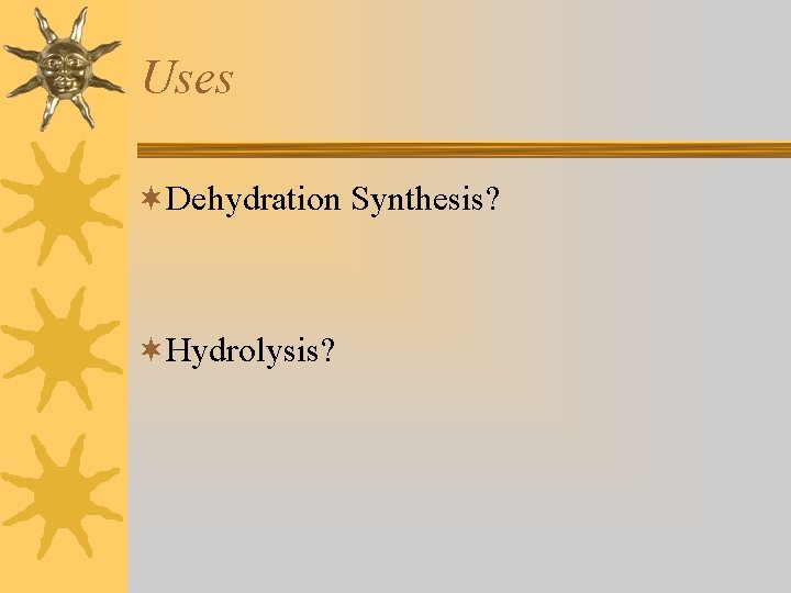 Uses ¬Dehydration Synthesis? ¬Hydrolysis? 