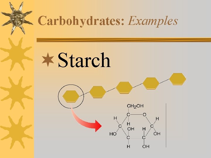 Carbohydrates: Examples ¬Starch 