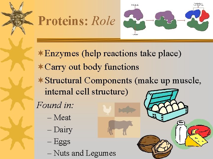 Proteins: Role ¬Enzymes (help reactions take place) ¬Carry out body functions ¬Structural Components (make