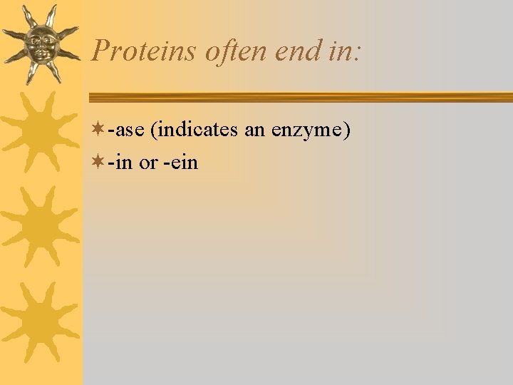 Proteins often end in: ¬-ase (indicates an enzyme) ¬-in or -ein 