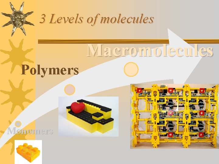 3 Levels of molecules Macromolecules Polymers Monomers 