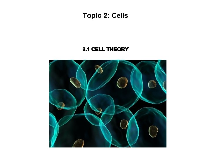 Topic 2: Cells 