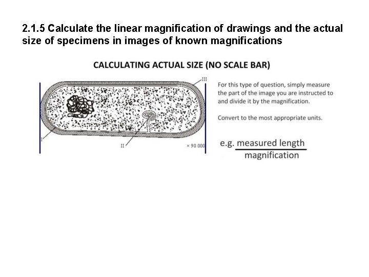 2. 1. 5 Calculate the linear magnification of drawings and the actual size of