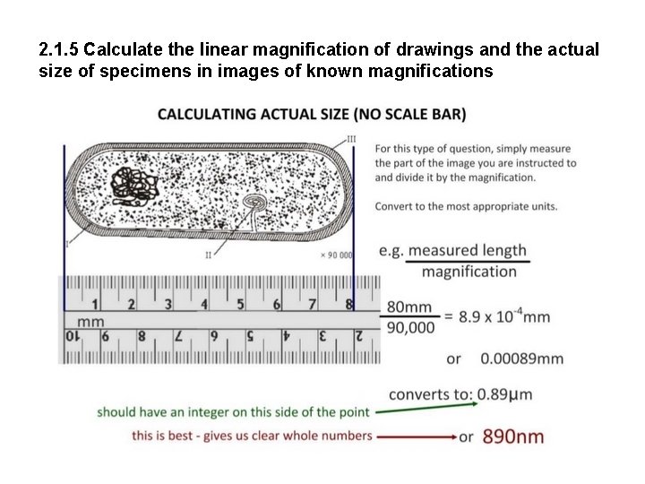 2. 1. 5 Calculate the linear magnification of drawings and the actual size of