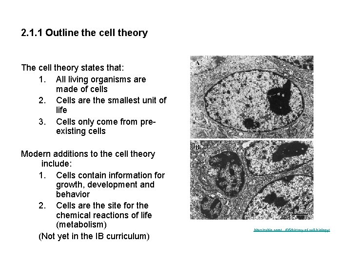 2. 1. 1 Outline the cell theory The cell theory states that: 1. All