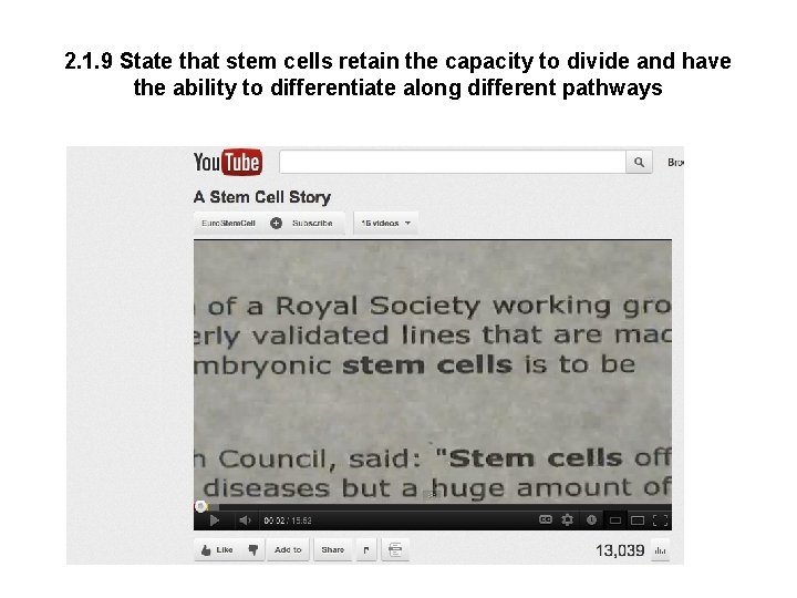 2. 1. 9 State that stem cells retain the capacity to divide and have