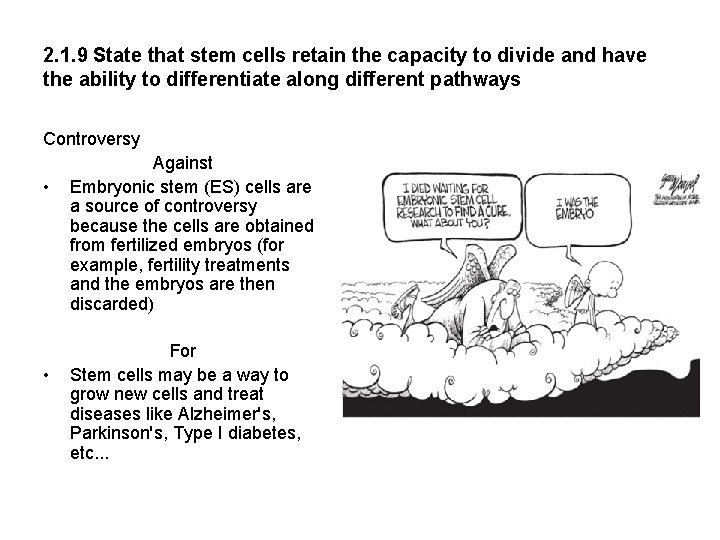2. 1. 9 State that stem cells retain the capacity to divide and have