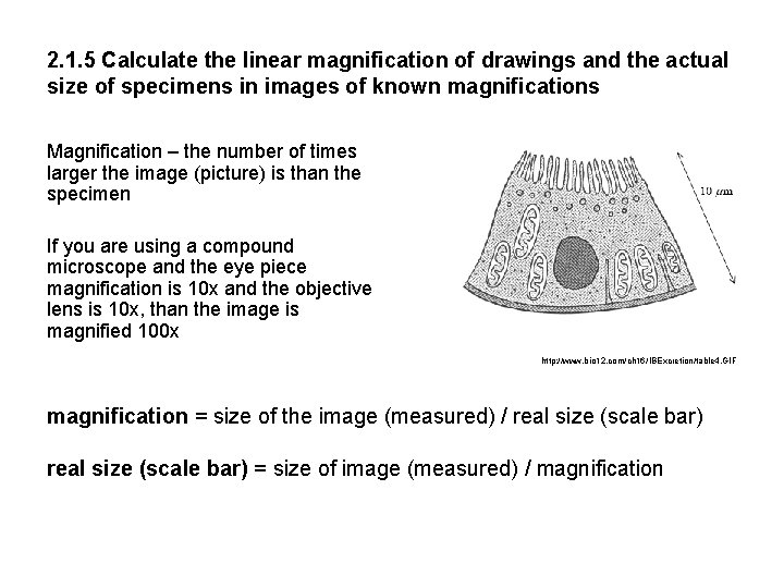 2. 1. 5 Calculate the linear magnification of drawings and the actual size of