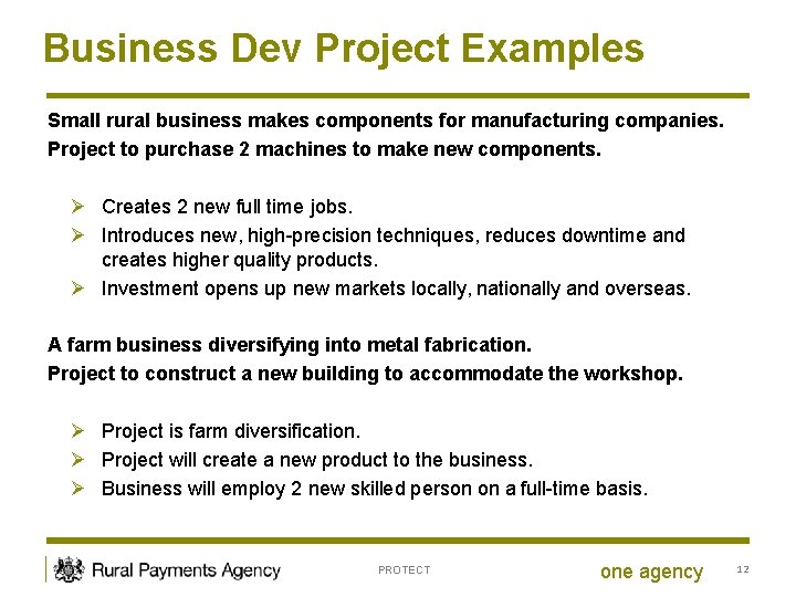 Business Dev Project Examples Small rural business makes components for manufacturing companies. Project to