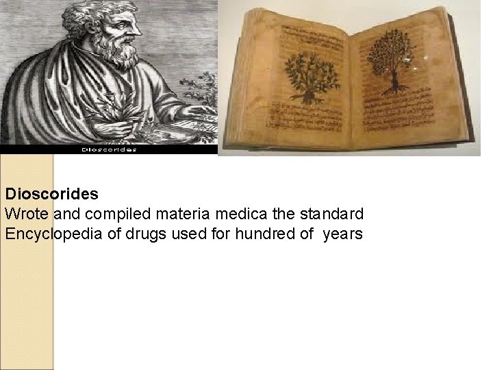 Dioscorides Wrote and compiled materia medica the standard Encyclopedia of drugs used for hundred Dioscorides Wrote and compiled materia medica the standard Encyclopedia of drugs used for hundred