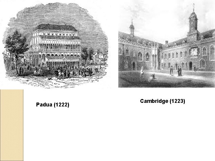Padua (1222) Cambridge (1223) Padua (1222) Cambridge (1223)