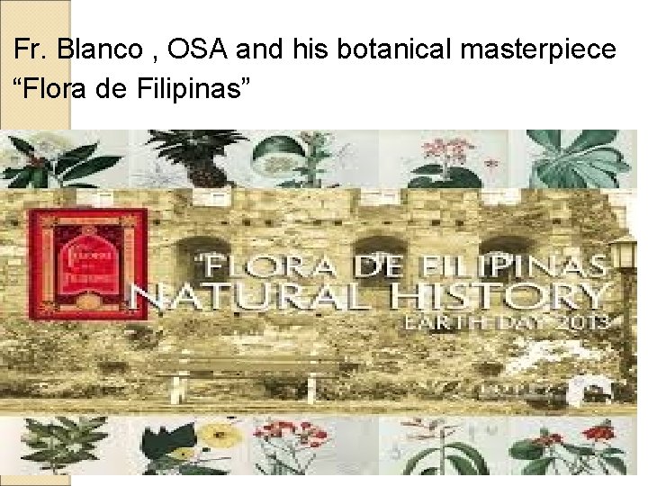 Fr. Blanco , OSA and his botanical masterpiece “Flora de Filipinas” Fr. Blanco , OSA and his botanical masterpiece “Flora de Filipinas”