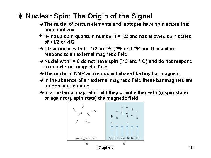 t Nuclear Spin: The Origin of the Signal èThe nuclei of certain elements and