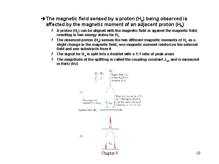 èThe magnetic field sensed by a proton (Ha) being observed is affected by the