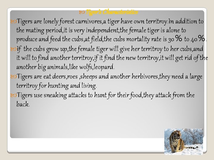  Tiger’s Characteristics Tigers are lonely forest carnivores, a tiger have own territroy. In