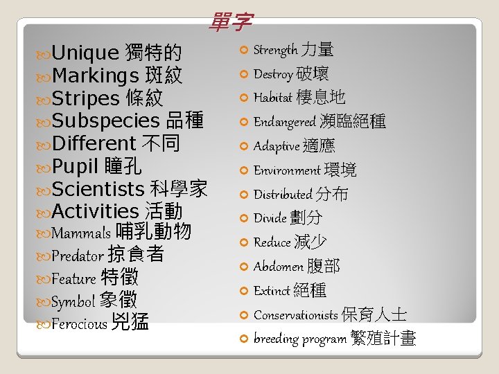 單字 Unique 獨特的 Markings 斑紋 Stripes 條紋 Subspecies 品種 Different 不同 Pupil 瞳孔 Scientists