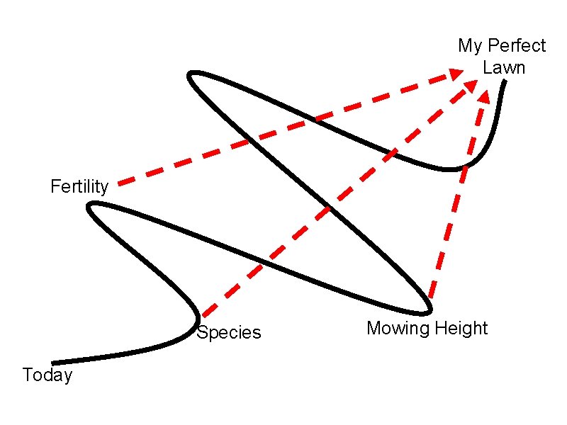 My Perfect Lawn Fertility Species Today Mowing Height My Perfect Lawn Fertility Species Today Mowing Height