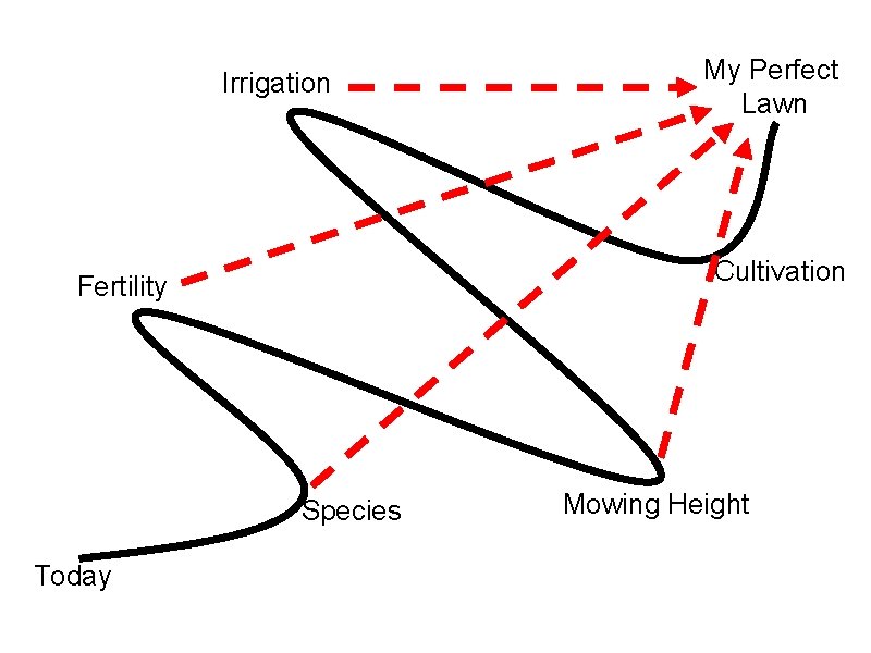 Irrigation Cultivation Fertility Species Today My Perfect Lawn Mowing Height Irrigation Cultivation Fertility Species Today My Perfect Lawn Mowing Height