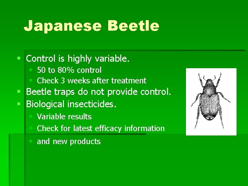 Japanese Beetle § Control is highly variable. § 50 to 80% control § Check Japanese Beetle § Control is highly variable. § 50 to 80% control § Check