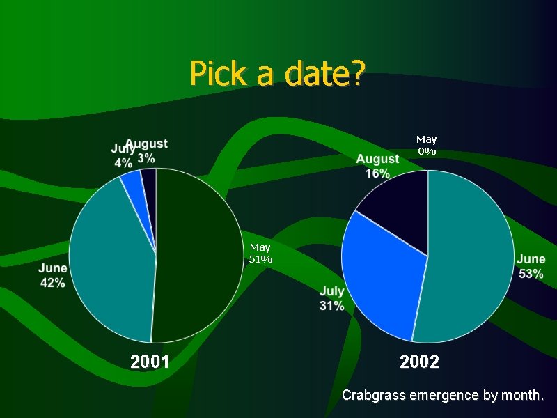 Pick a date? May 0% May 51% 2001 2002 Crabgrass emergence by month. Pick a date? May 0% May 51% 2001 2002 Crabgrass emergence by month.