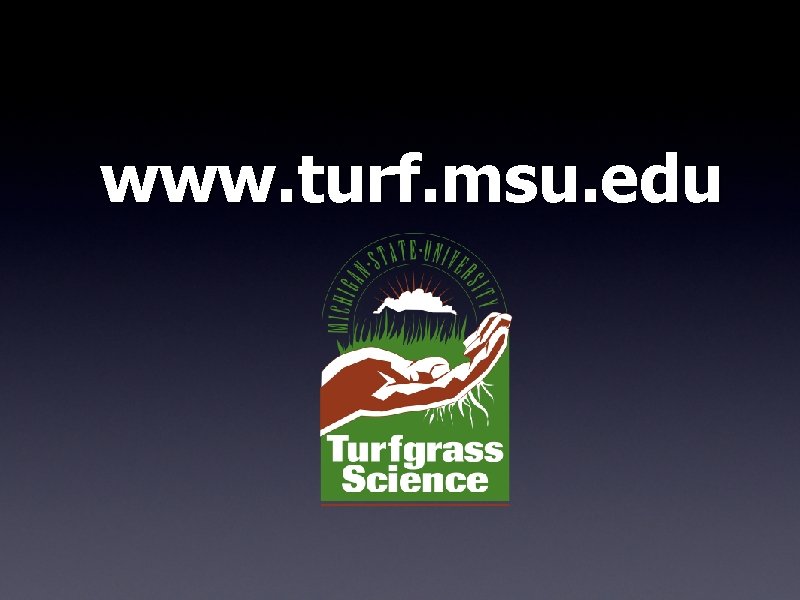 www. turf. msu. edu www. turf. msu. edu
