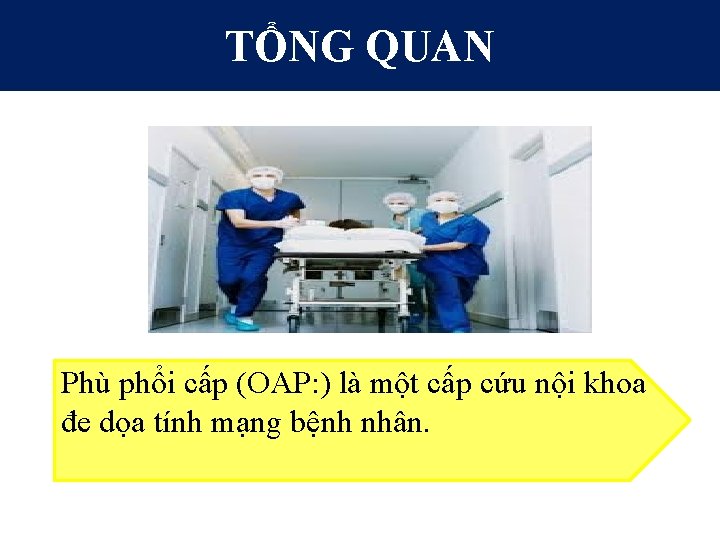 TỔNG QUAN Phù phổi cấp (OAP: ) là một cấp cứu nội khoa đe