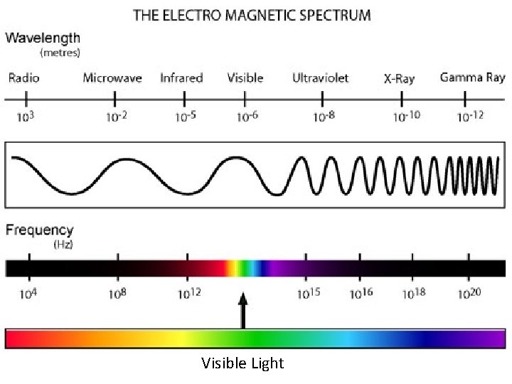 Visible Light 